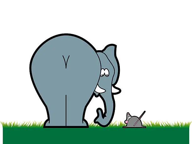 Elephant photo